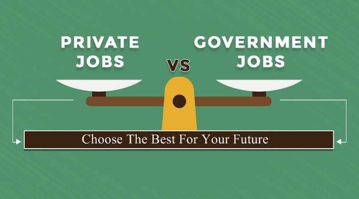Career Options in Government vs. Private Sector: Pros and Cons